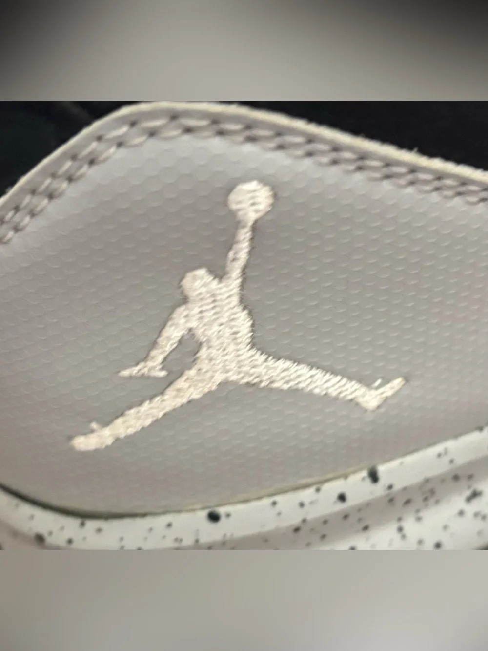 Jordan air flight
